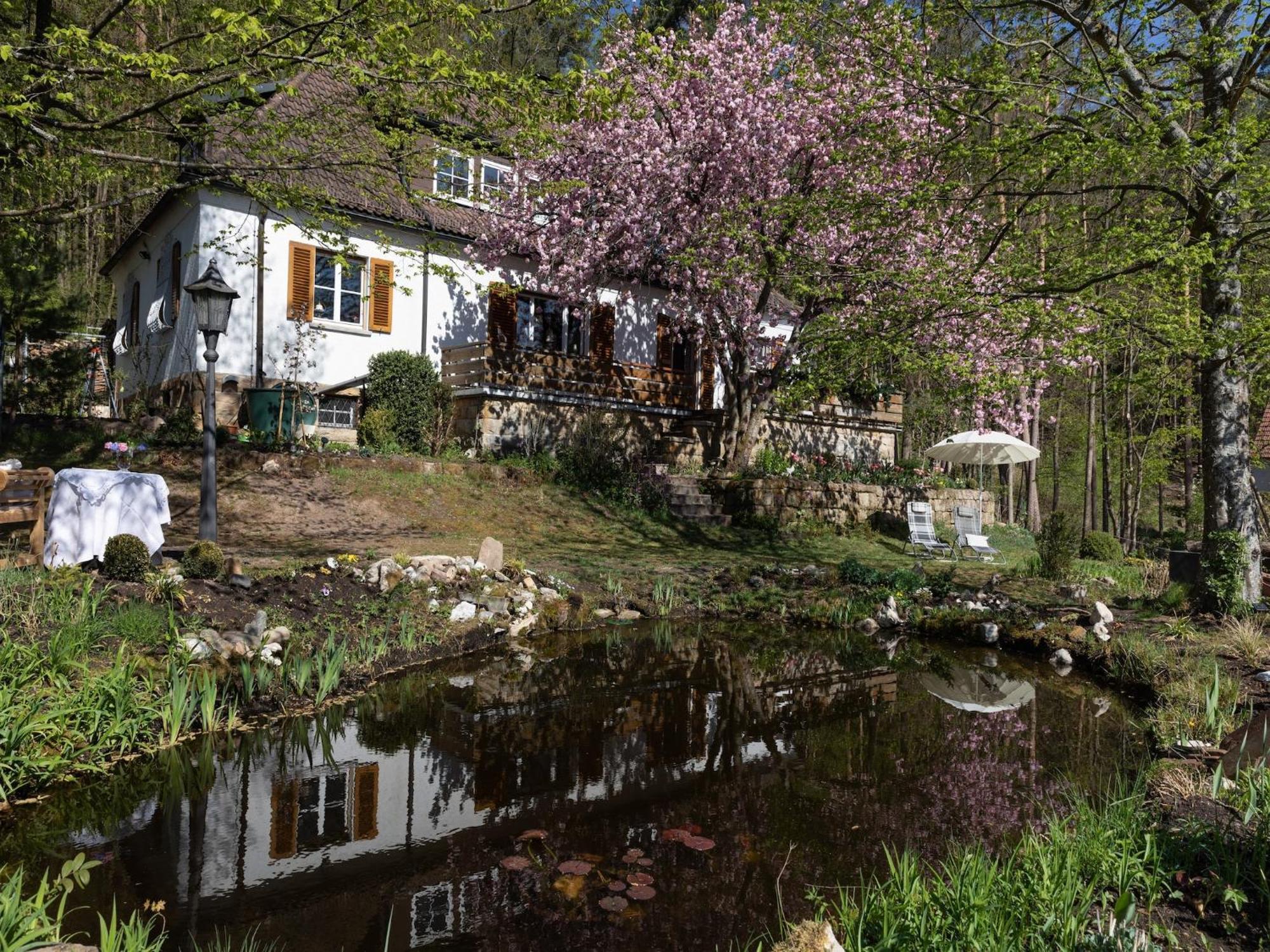 Apartment Charming In Wei Enbrunn Near Forest